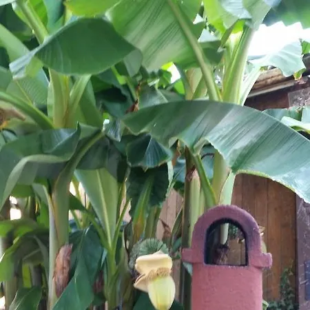 Apartamento Marielies-urlaubsstube