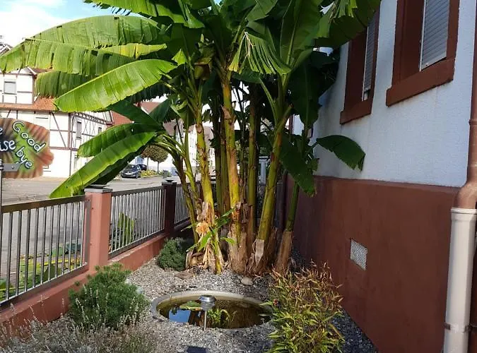 Marielies-urlaubsstube 아파트 *