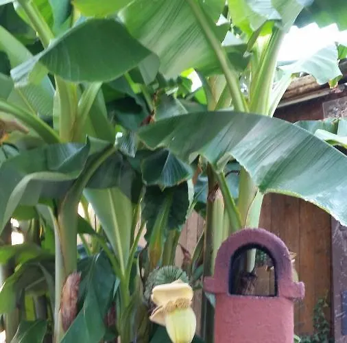 아파트 Marielies-urlaubsstube